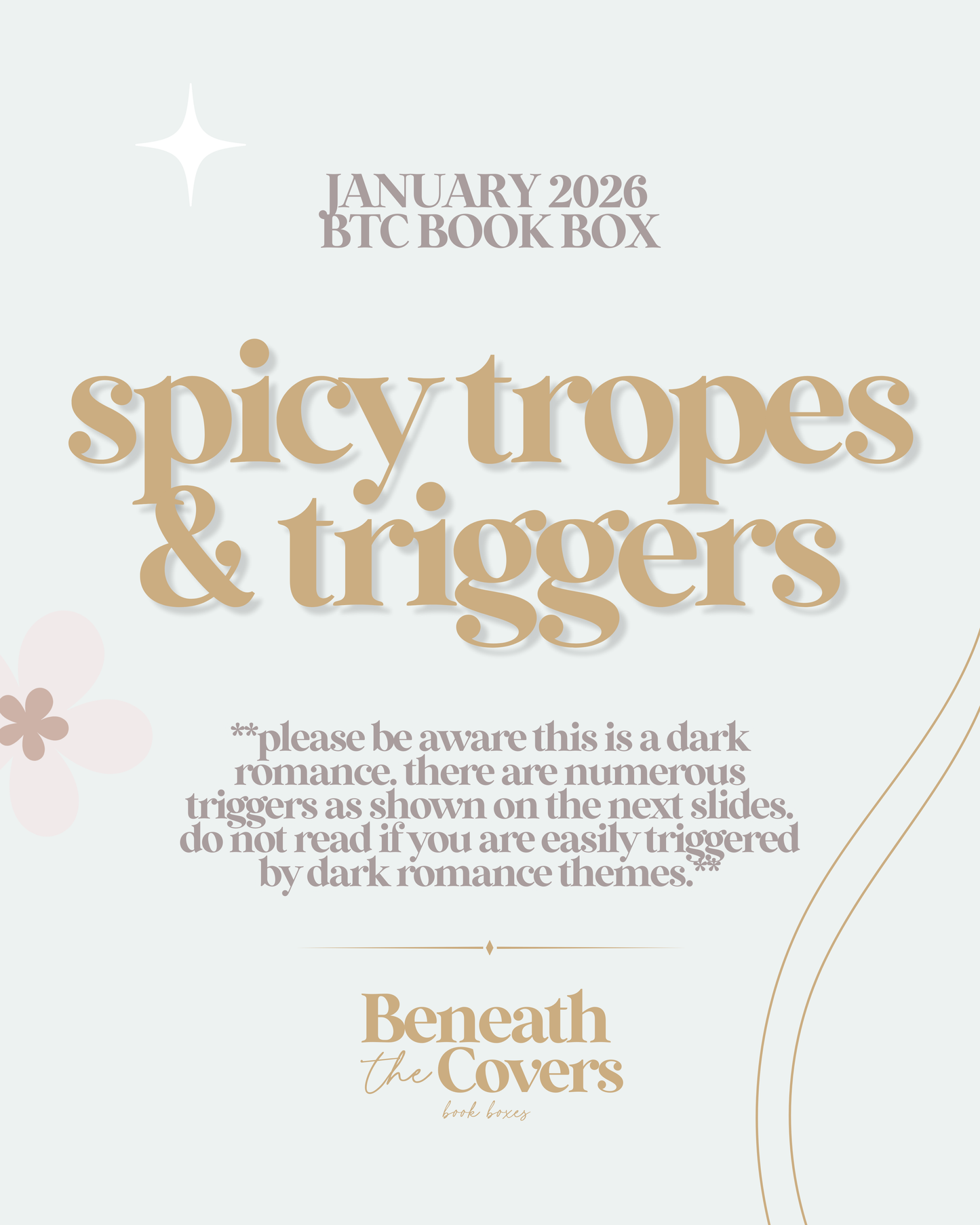 Tease - January's Box