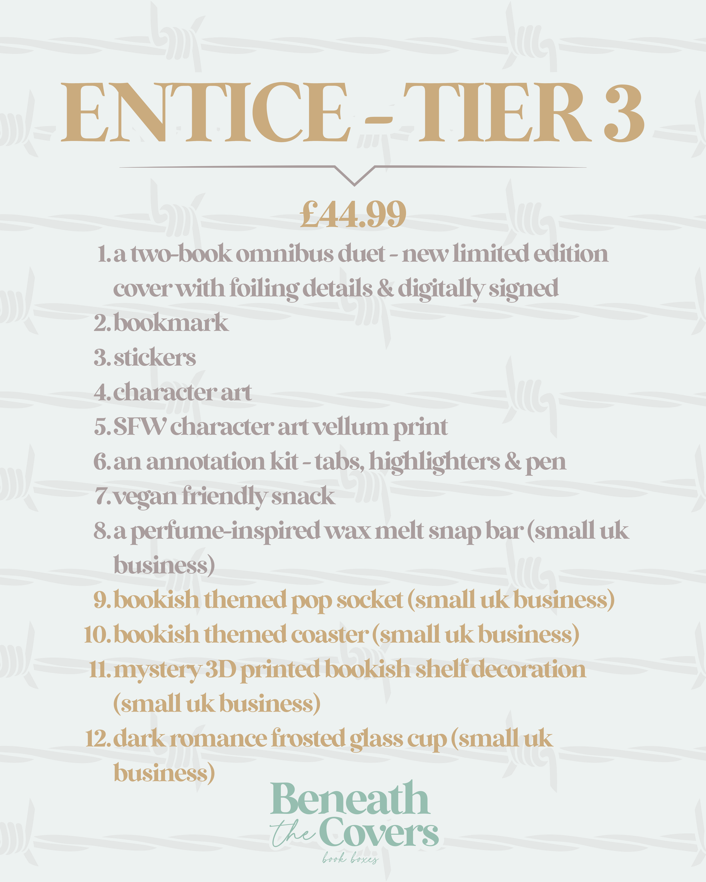 Entice - January's Box