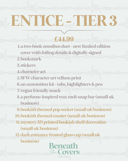 Entice - January's Box